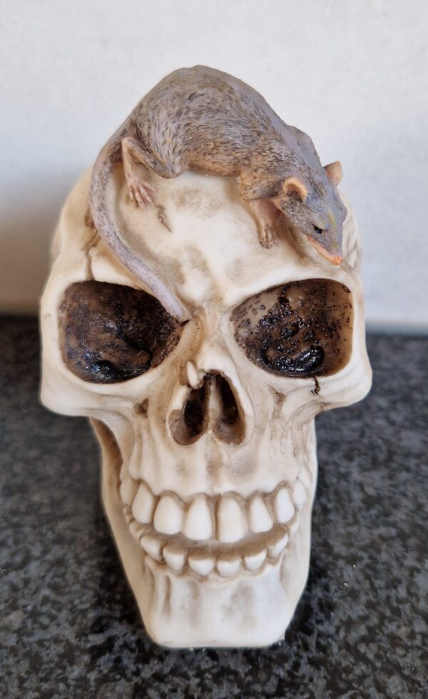 schedel spaarpot met rat - Afbeelding 5